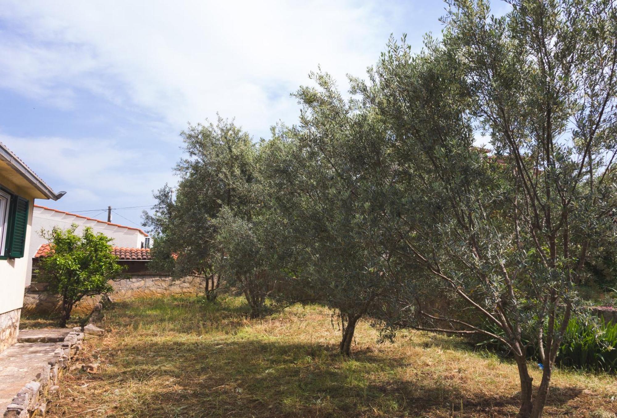 Holiday Home Laurea San Pietro di Brazza Esterno foto