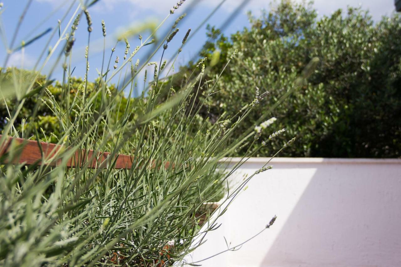 Holiday Home Laurea San Pietro di Brazza Esterno foto