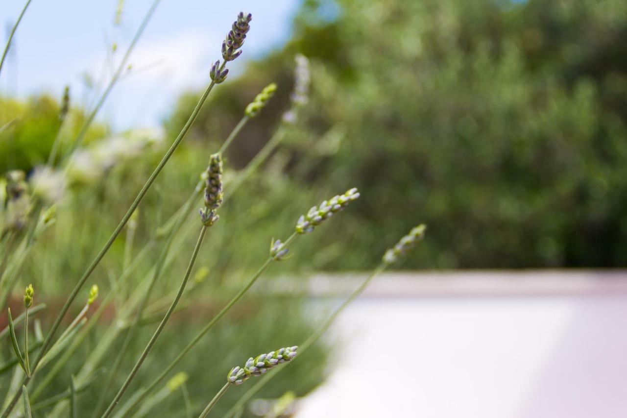 Holiday Home Laurea San Pietro di Brazza Esterno foto