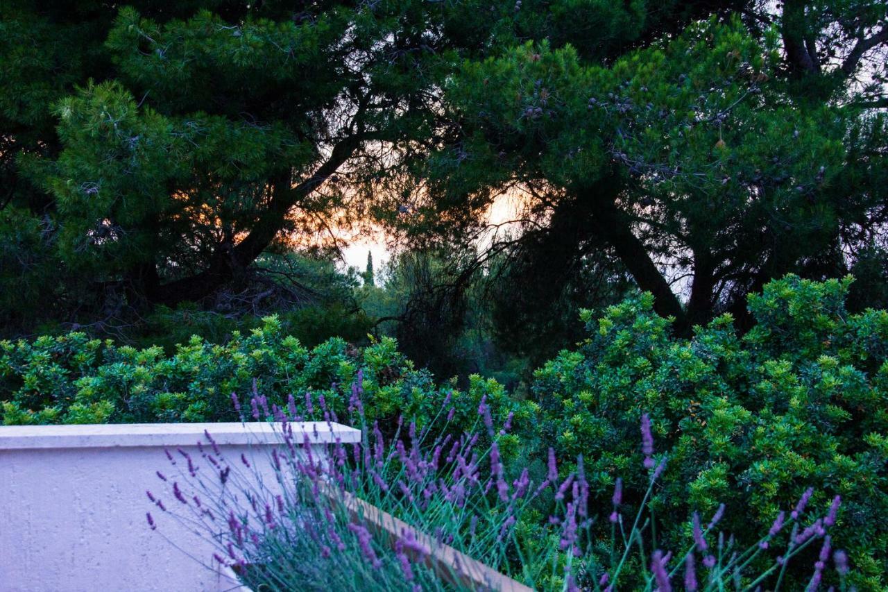 Holiday Home Laurea San Pietro di Brazza Esterno foto